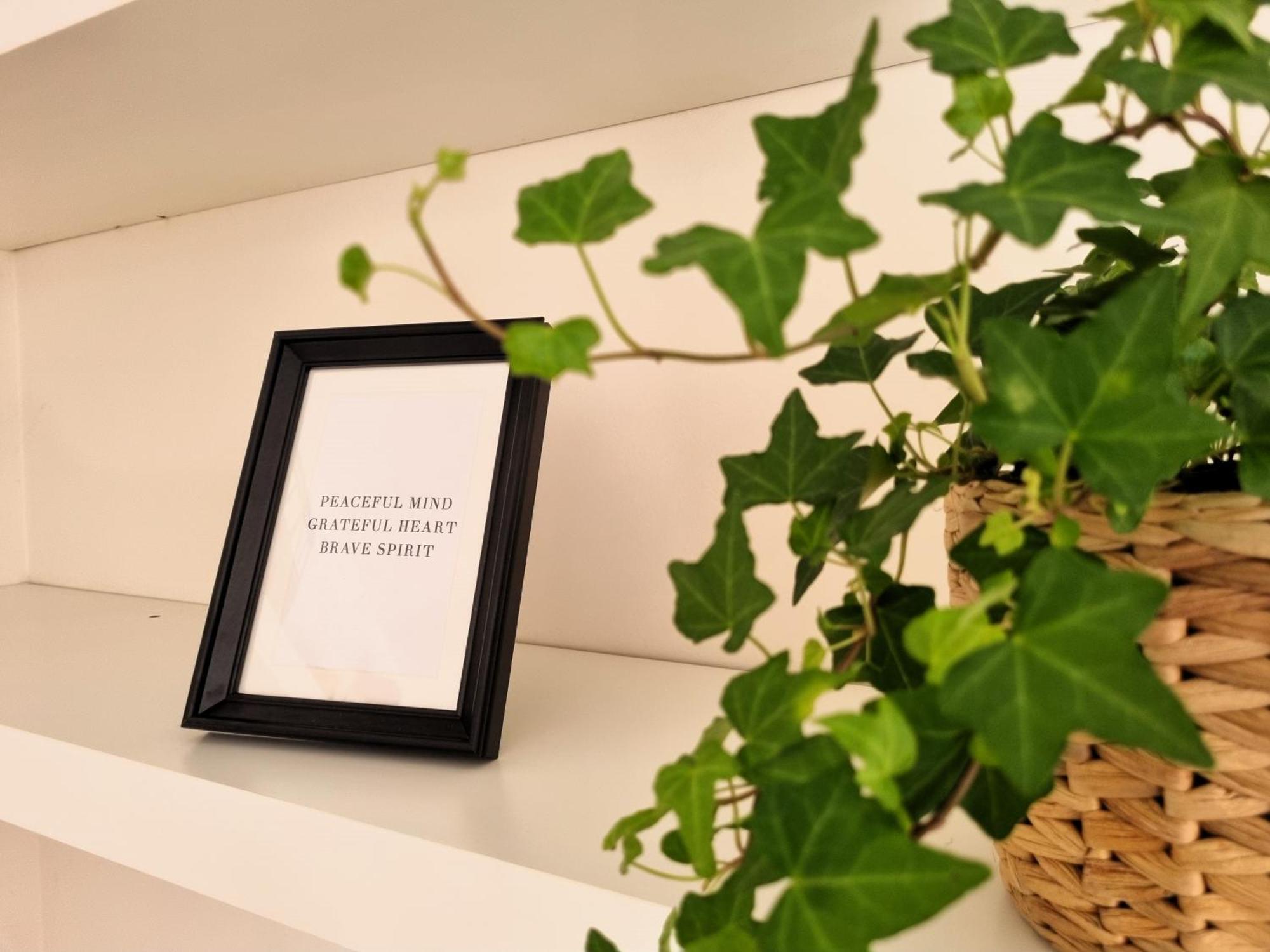 Villa Relais Cassia Rome - Parking, Wi-Fi & Barbecue Extérieur photo